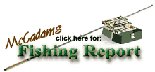 Kentucky Lake Fishing Report