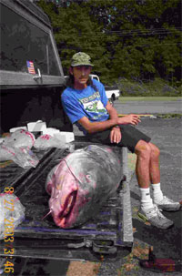 big catfish picture