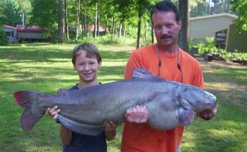 Big Kentucky Lake Catfish Picture