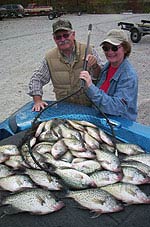 kentucky lake crappie picture